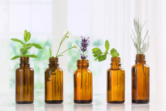 A Beginner's Guide to Using Healing Essential Oils for Wellness